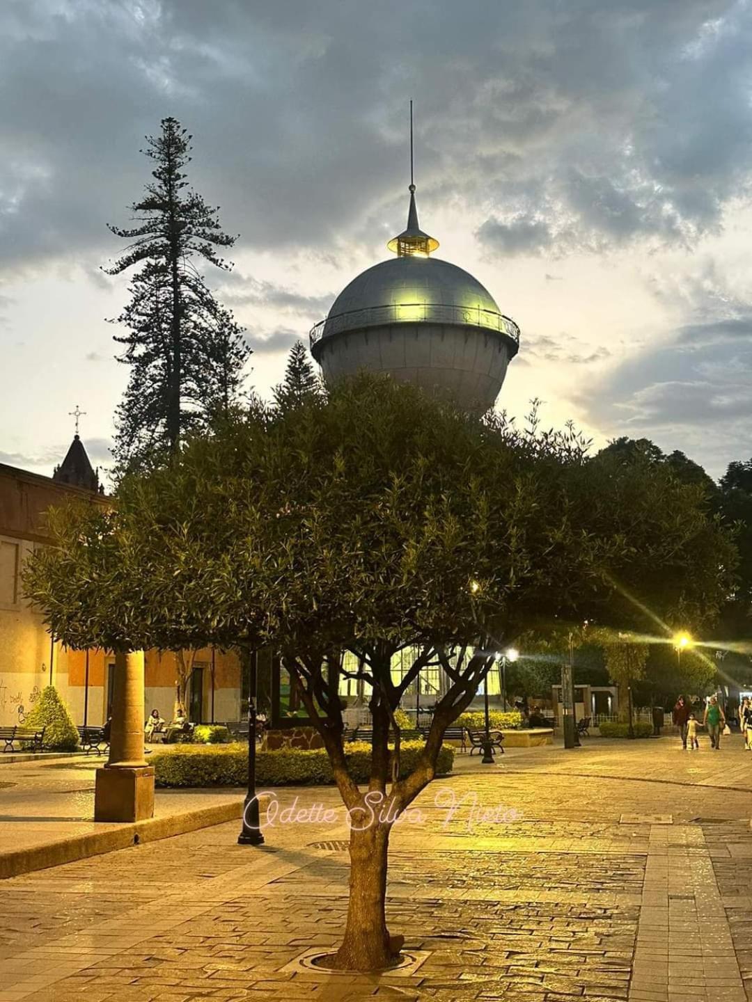 Hotel Gomez De Celaya Celaya  Exterior foto